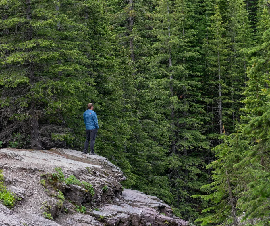 Immature to mature lover forest introspection
